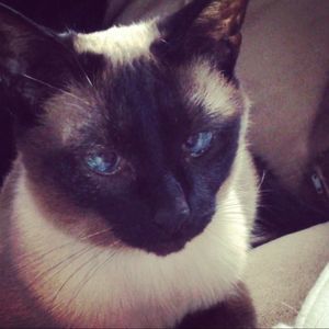 Meet your Posher, Sky